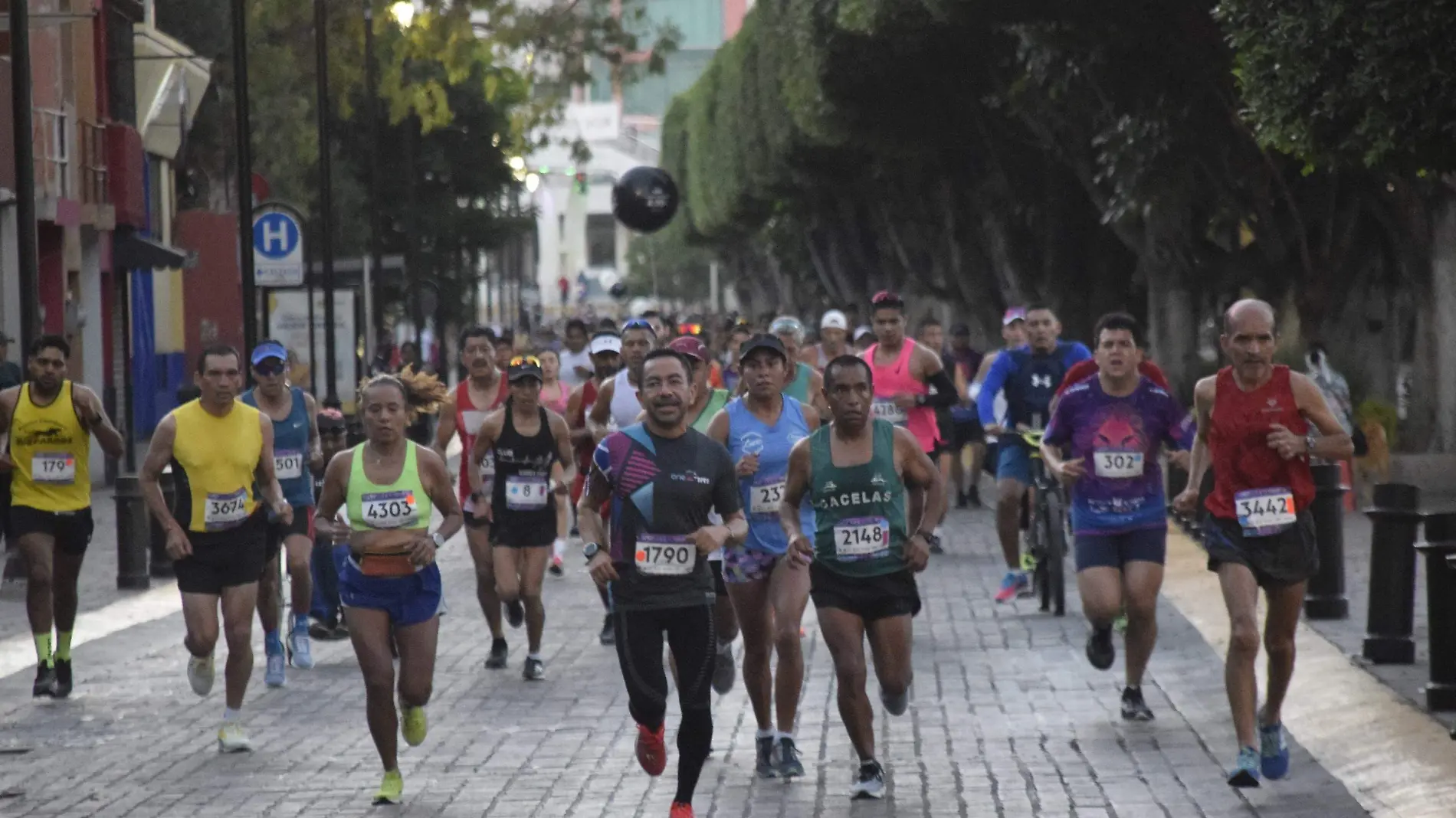 ATLETISMO LEON (4)